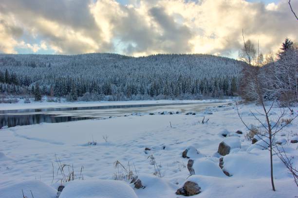 istock Lake Schluchsee at dusk in winter. Black Forest, Germany. 930211504