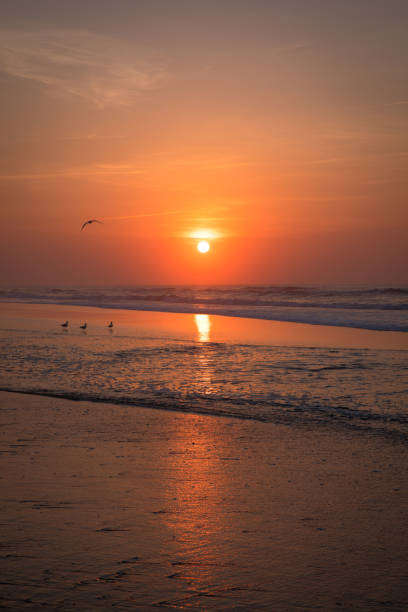 istock Vertical Orientation Sunrise or Sunset over Ocean 930213098