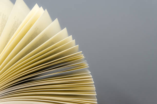 istock Close-Up Of Papers Against Gray Background 930213148