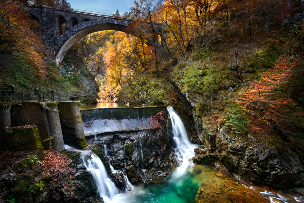 istock Vintgar waterfall and canyon, Slovenia 930226766