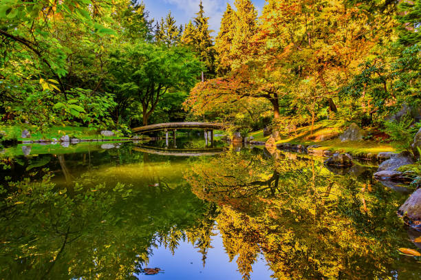 istock river in a park with a mirror image of the sky, trees and bushes 930238266