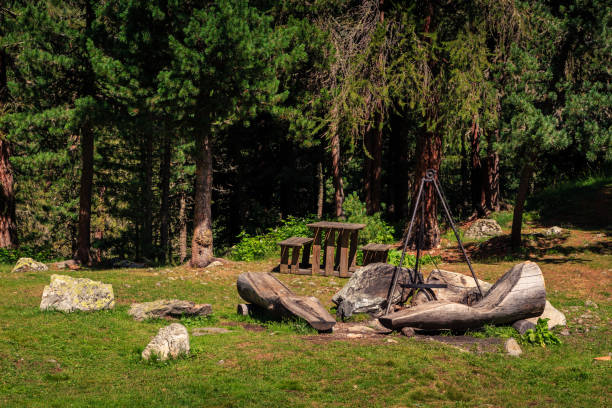 istock Public barbecue site in Engadin St. Moritz, Switzerland. 930246858