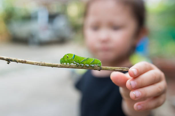 Little girl who found a caterpillar