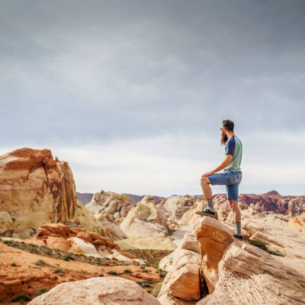 istock bearded tourist checking out valley of fire 930261142