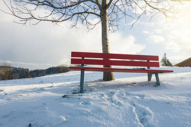 istock snow covered red bench in front of winter landscape with snow marks 930261196