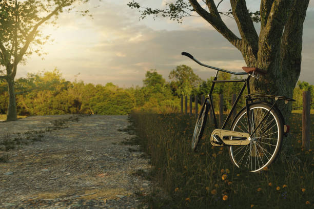 istock 3d rendering of leaned black bicycle at tree in the meadow gras landscape in the evening sunlight 930261242