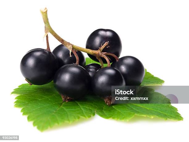 Schwarze Johannisbeeren Stockfoto und mehr Bilder von Abnehmen - Abnehmen, Beere - Obst, Blatt - Pflanzenbestandteile
