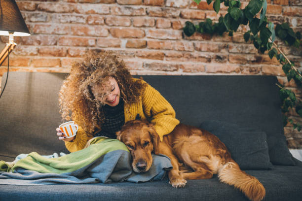 istock Woman playing with her dogs 930268022