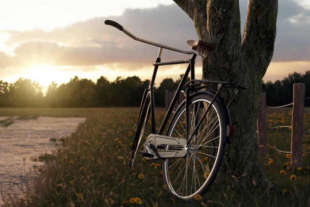 istock 3d rendering of leaned black bicycle at tree in the meadow gras landscape in the evening sunlight 930268298