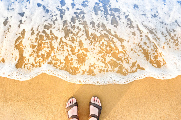 istock Woman's feet in sandals on a beach sand 930273342