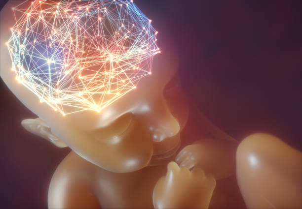 Baby Brain Connections stock photo