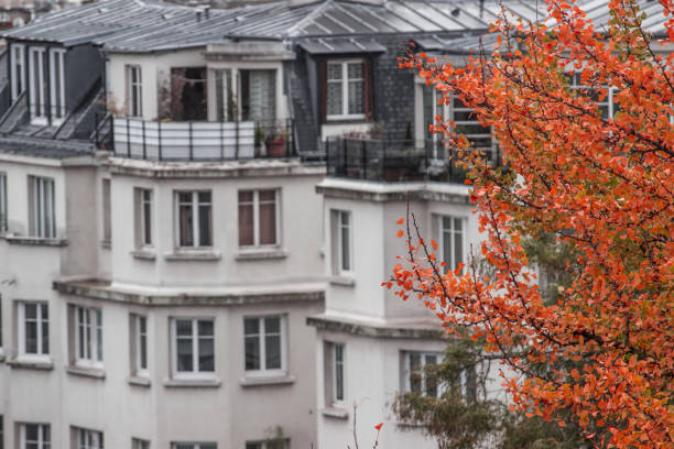 istock Parisian buildings in Autumn 930281374
