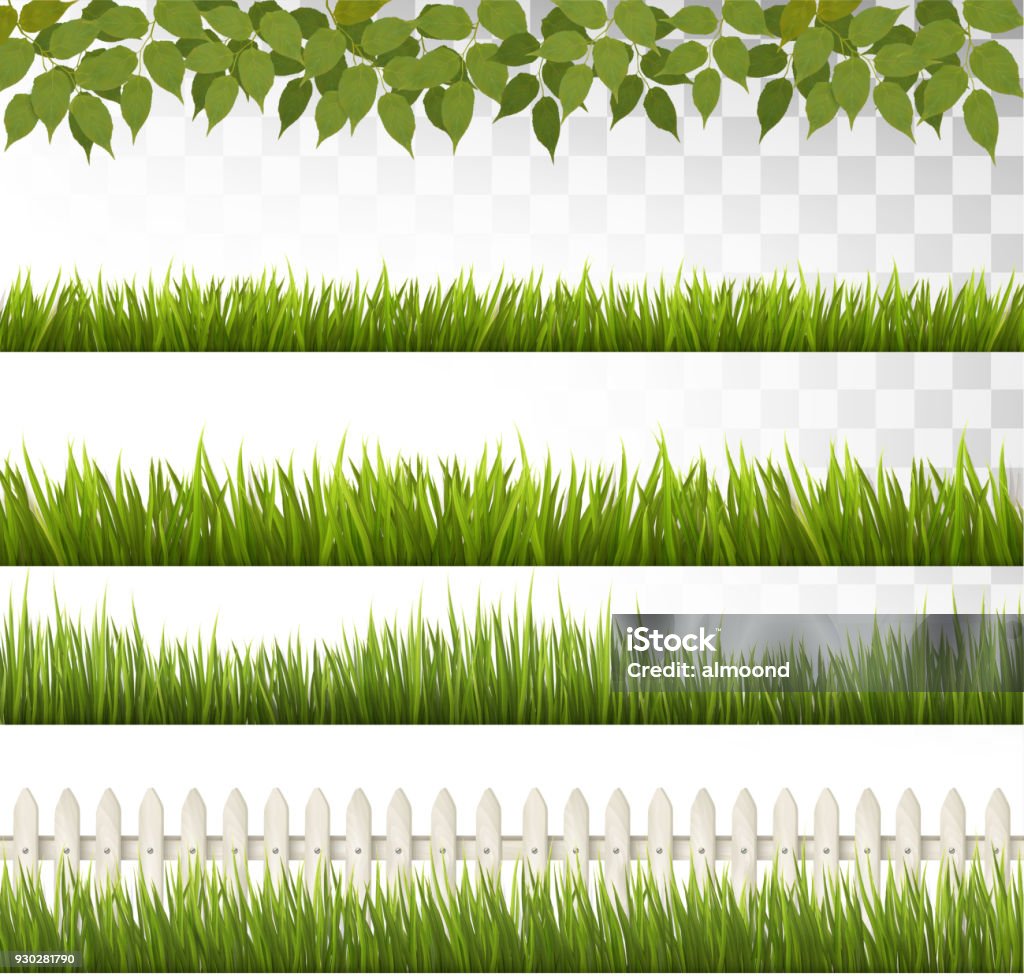 Big collection of green grass and french. Vector. Grass stock vector