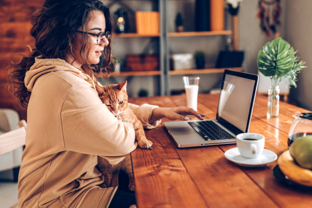 istock Casual work day at home with my cat 930286644