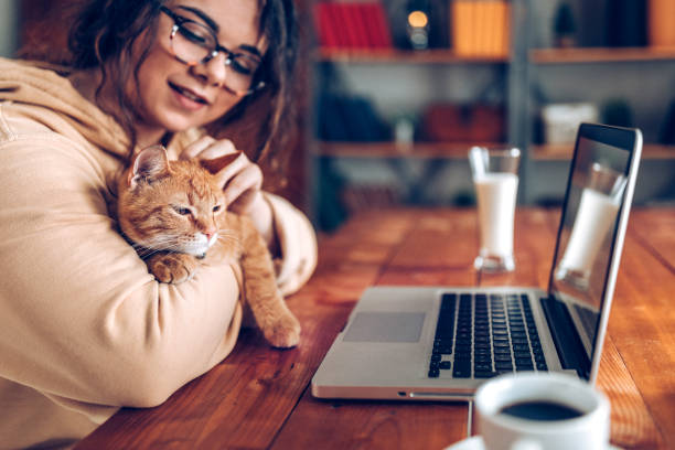 istock Enjoying working with my cat at home 930286754