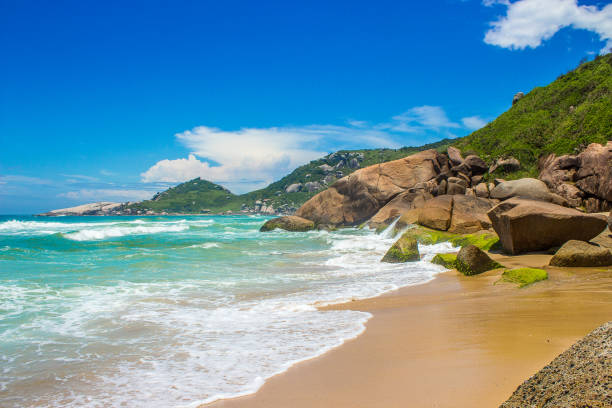 Beach with Rocks and Mountains Photo location: santa catarina brazil stock pictures, royalty-free photos & images
