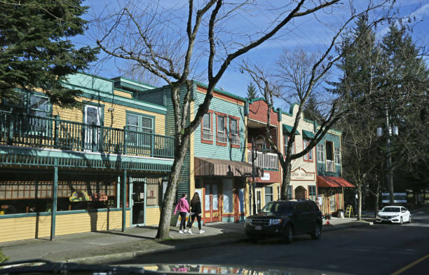 businesses on mavis avenue, fort langley, canada, in winter - langley imagens e fotografias de stock