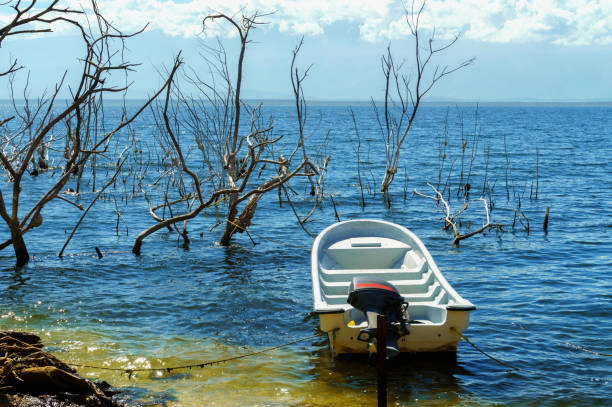 white empty motor boat on salt lake, the trunks of the trees without leaves in the water, Lake Enriquillo stock photo