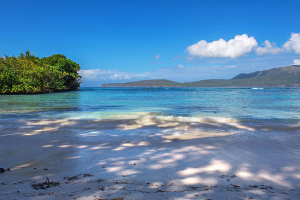 istock perfect empty Caribbean sandy beach with clear water and green palm trees 930290568
