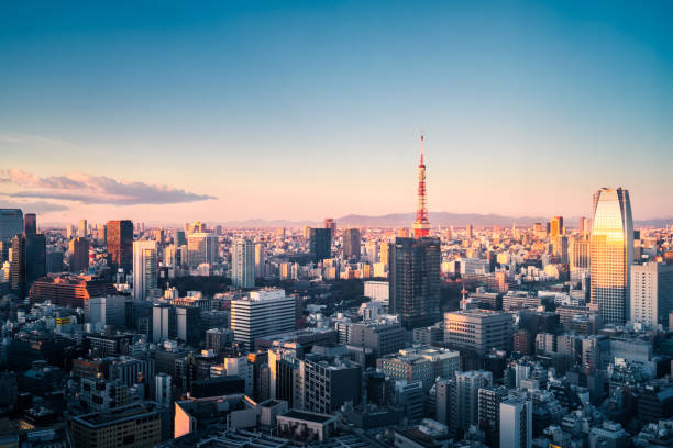 istock Tokyo, Japan skyline with the Tokyo Tower 930295902