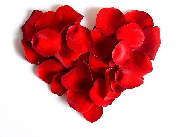 istock petal heart w clipping path 93031348