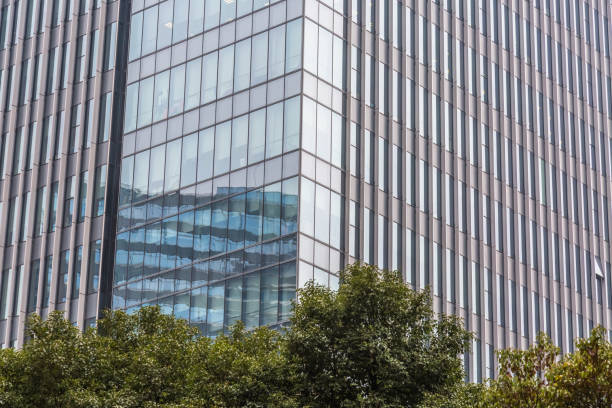 istock Details of a modern office building with a tree 930315132