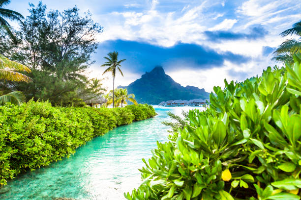 bora bora island, french polynesia. - bora bora polynesia beach bungalow imagens e fotografias de stock