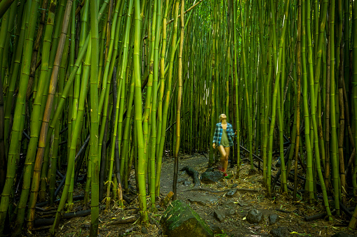 Woman exploring bamboo forest while hiking Pipiwai trail in Haleakala National park.