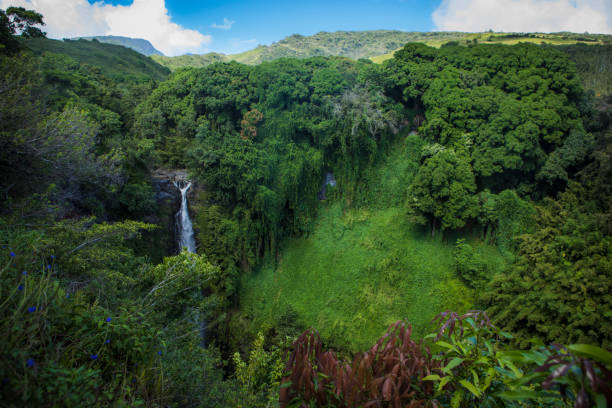 waterfall on pipiwai trail, maui. - haleakala national park imagens e fotografias de stock