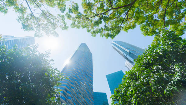 istock perspective exterior pattern blue glass wall modern buildings with green tree leaves 930346618