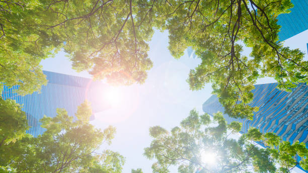 istock perspective exterior pattern blue glass wall modern buildings with green tree leaves 930346672