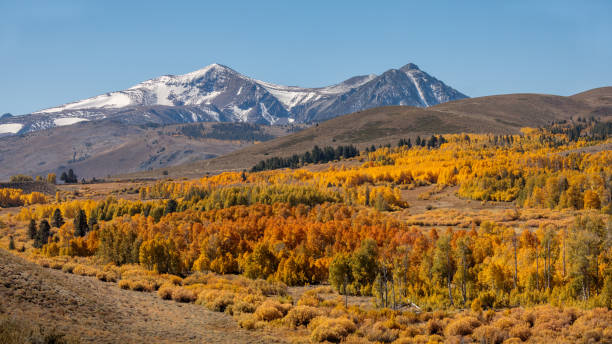 istock Fall Colors on Conway Summit - Eastern Sierra - California 930368586