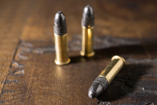 22 ammunition rounds
