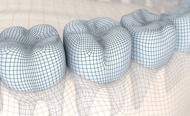 istock Mouth gum and teeth. Wire 3d model illustration 930377796