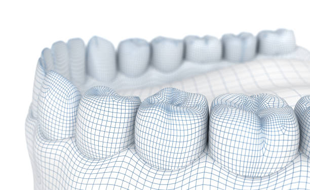 istock Mouth gum and teeth. Wire 3d model illustration 930377798