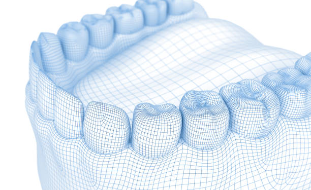 istock Mouth gum and teeth. Wire 3d model illustration 930377804