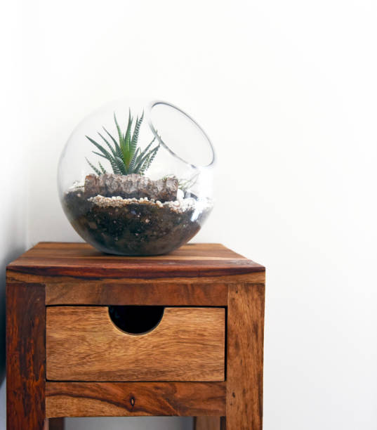 istock Terrarium on wooden stand in corner 930385112