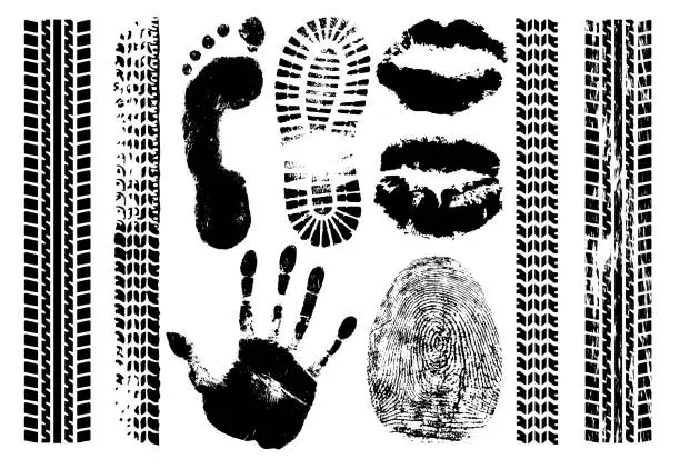 Vector illustration of Imprint set evidence. Handprint, footprint, fingerprint, print of the lips, tire tracks. Isolated silhouette vector on white background