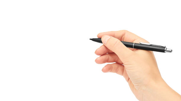 istock Female hands hold a pen. Isolated on white background. copy space, template 930406554