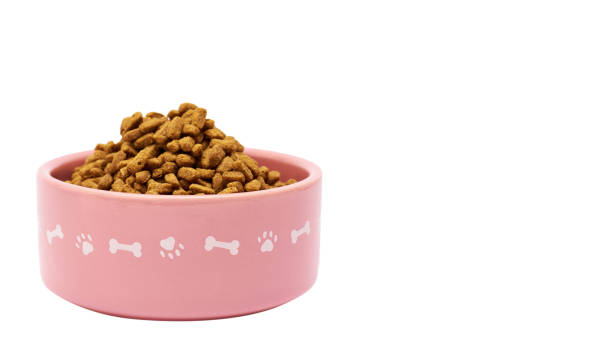 istock dry pet food in bowl isolated on white background. copy space, template 930406730