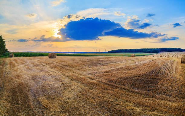 istock Autumn rural landscape 930411448