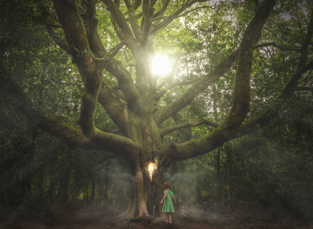 trees to spirits little girl makes the tree of spirits, dreamlike world foret de paimpont stock pictures, royalty-free photos & images