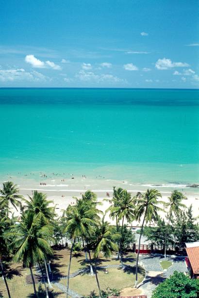 istock Carneiros beach, Brazil 930414724