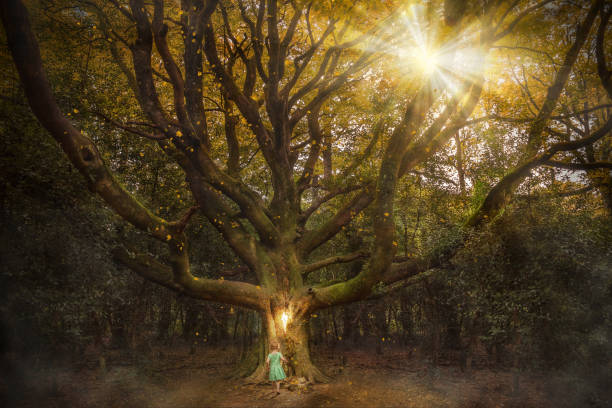 istock the heart of the forest 930417014
