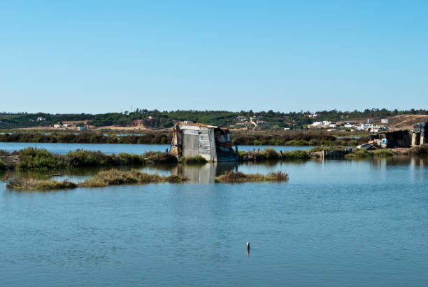 eine hütte in der "marismas" (sümpfe), von isla cristina, huelva. - malaga seville cadiz andalusia stock-fotos und bilder