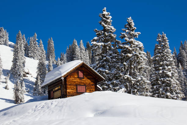 istock Winter holiday house 930424594