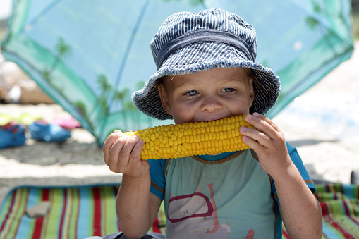 Boy in panama eating corn on picnic