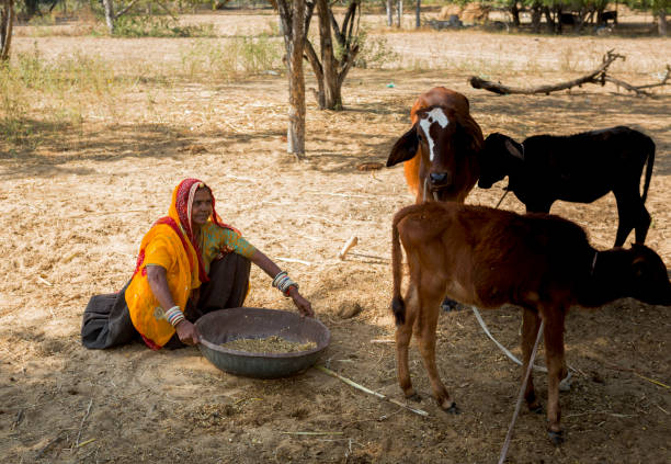 istock real people in rural india 930424828