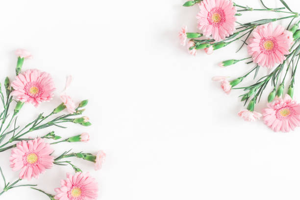 istock Pink flowers on white background. Flat lay, top view 930431888
