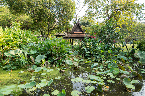 The MR Kukrit Pramoj House in Sathon in the city of Bangkok in Thailand.  Thailand, Bangkok, November, 2017